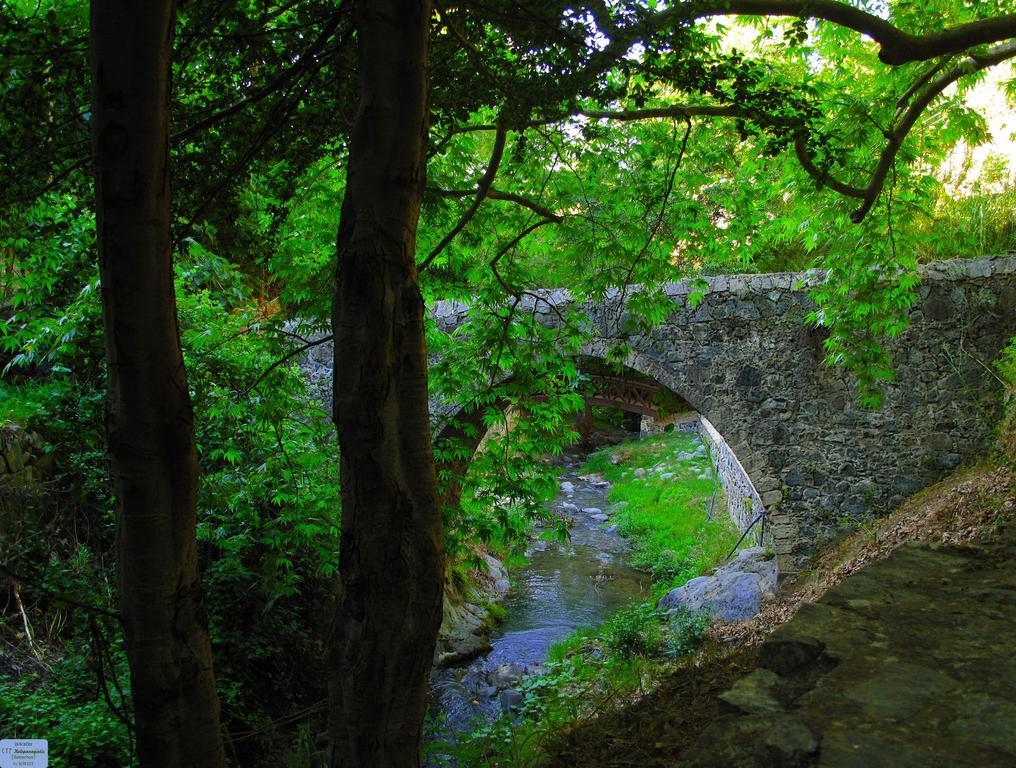 קאלופאנאיוטיס Hani Chrysomilou חדר תמונה